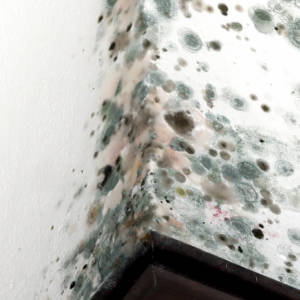 disinfection-1