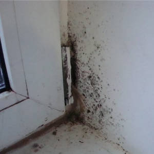 disinfection-2