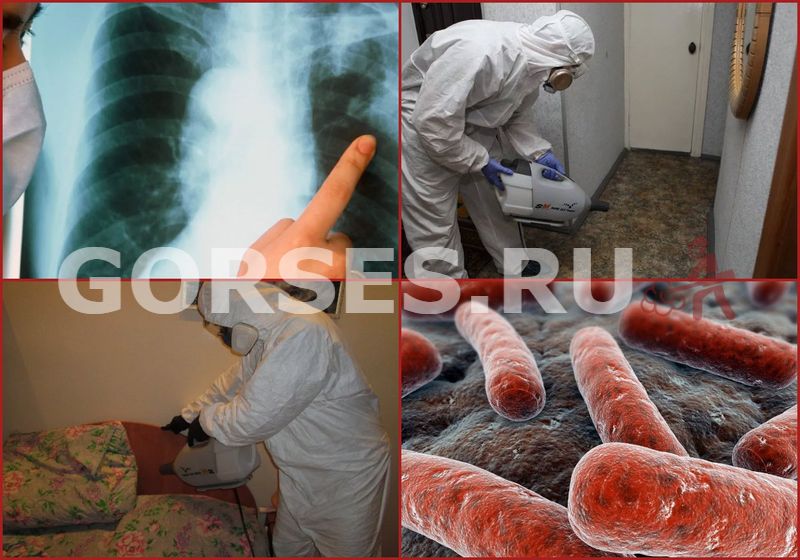 обработка помещения при туберкулезе