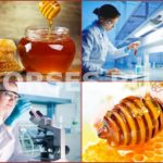 Лабораторный анализ и экспертиза меда в Москве