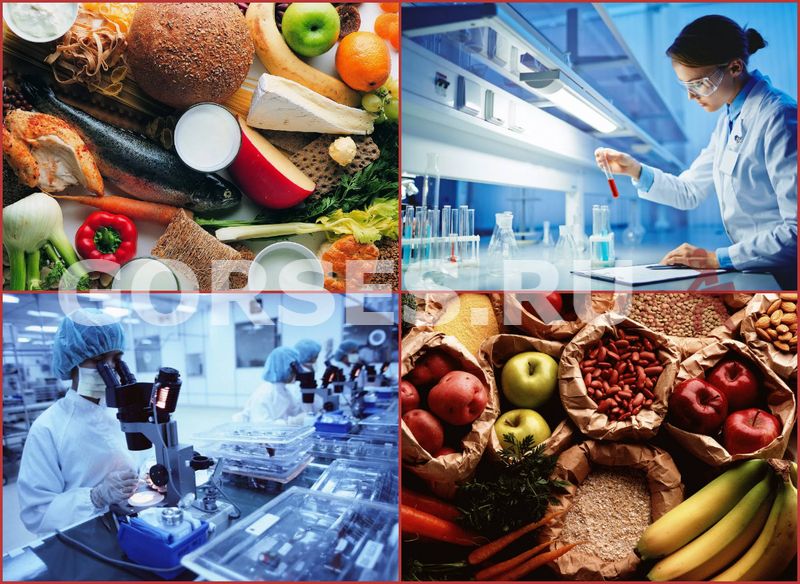 анализ безопасности пищевых продуктов