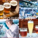 Анализ, экспертиза и проверка пива