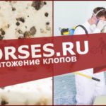 Обработка и уничтожение клопов Гусь-Хрустальный